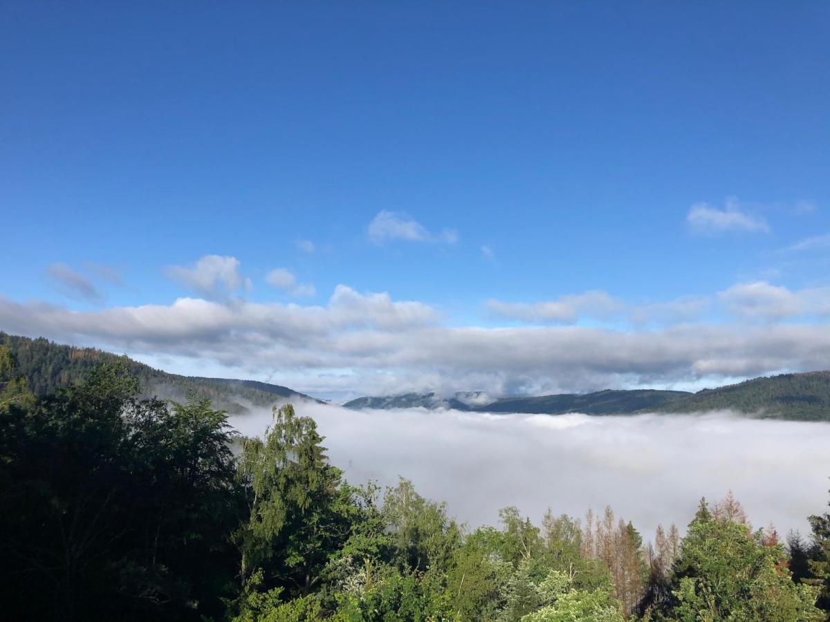Le Gite Cozy De Bouvacote Avec Vue Panoramique Et Sauna Le Tholy Exterior photo